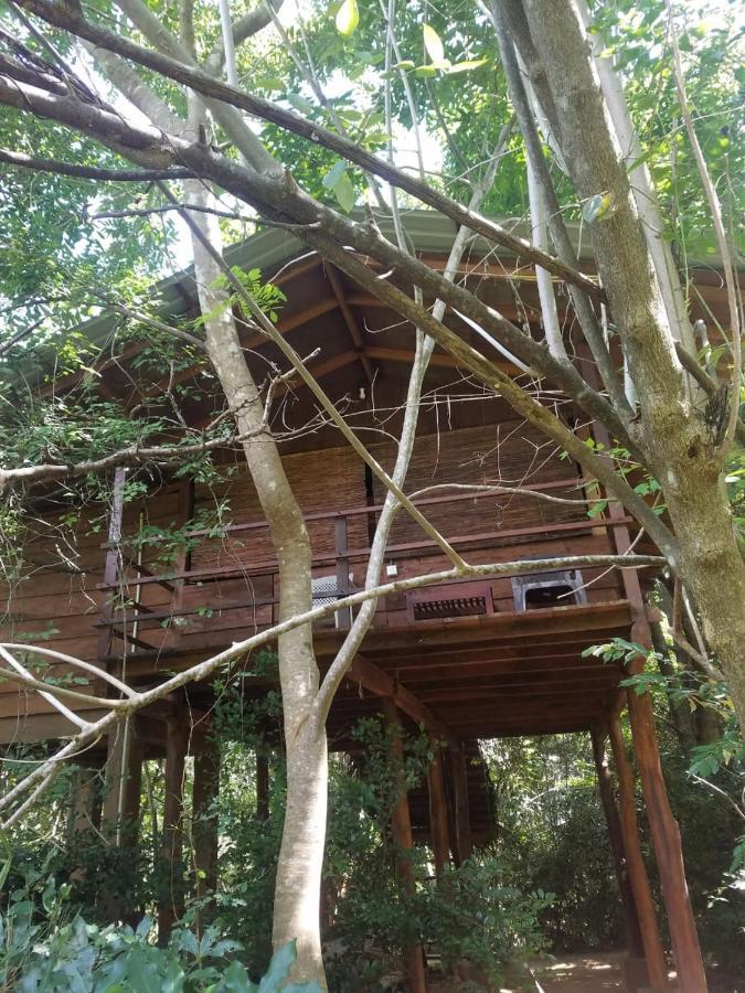 The Inn On The Tree Sigiriya Exterior foto