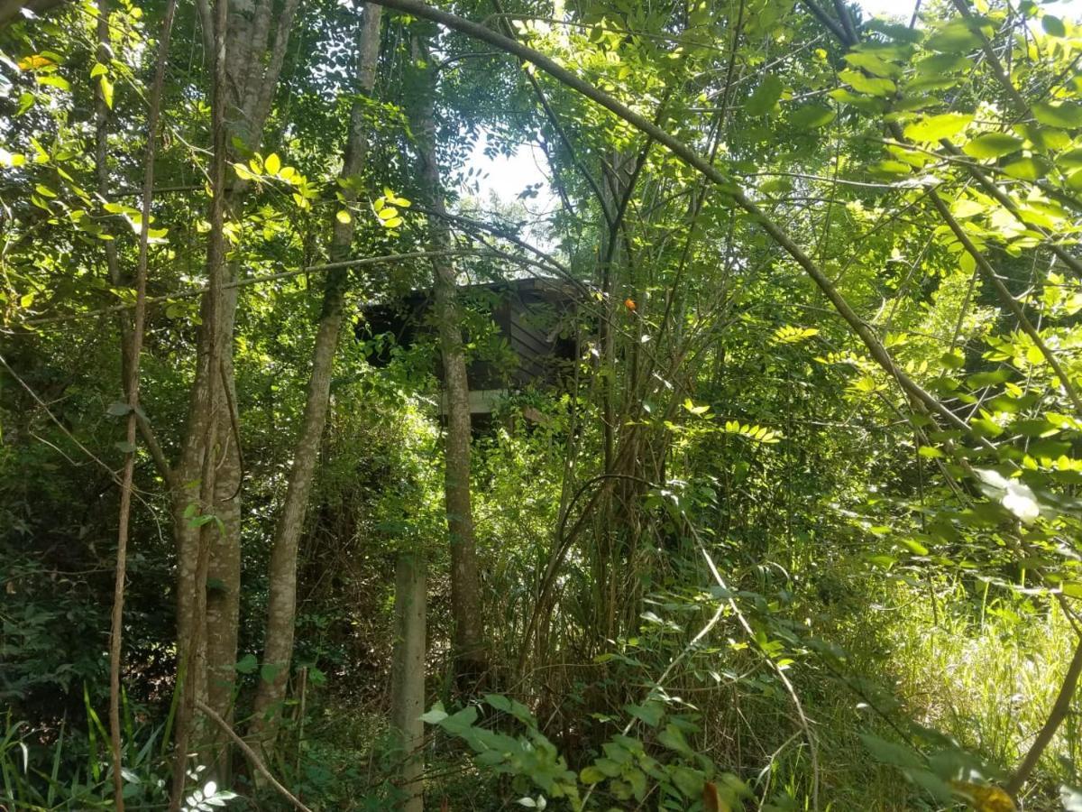 The Inn On The Tree Sigiriya Exterior foto