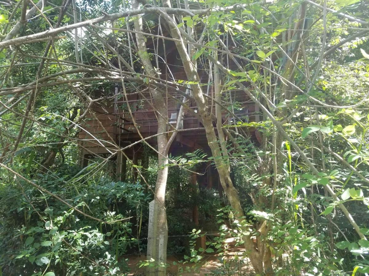 The Inn On The Tree Sigiriya Exterior foto